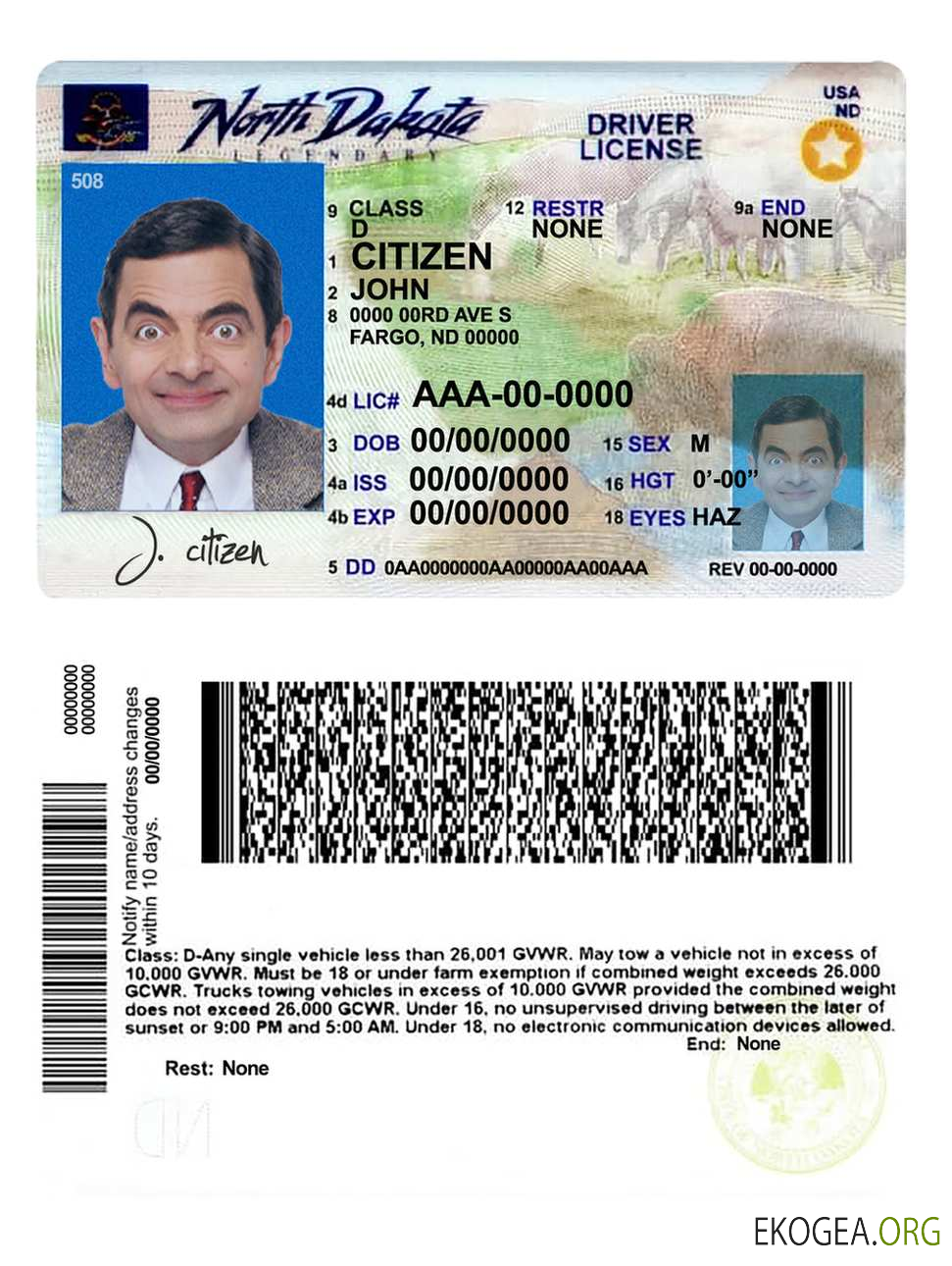 USA North Dakota driving license template in PSD format, fully editable, 2020 – present